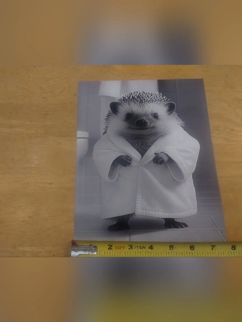 Cute Hedgehog Bathroom Art Print Stock Card Black White Wall Decor 8x10 Animal P